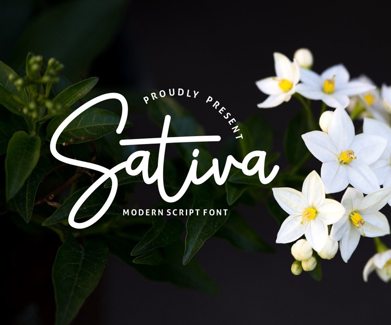 Sativa