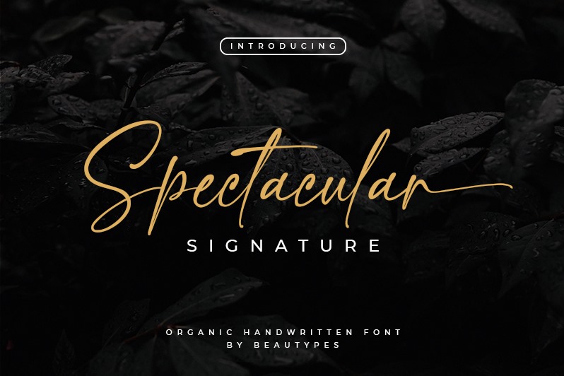 Spectacular Signature