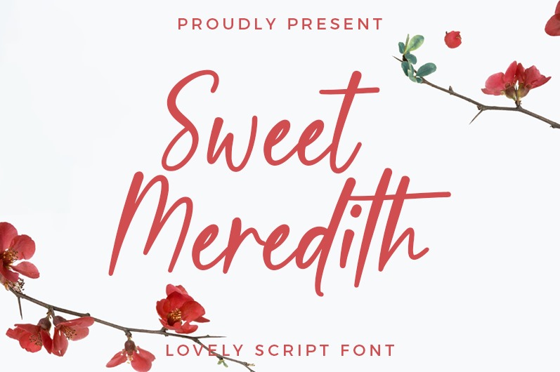 Sweet Meredith